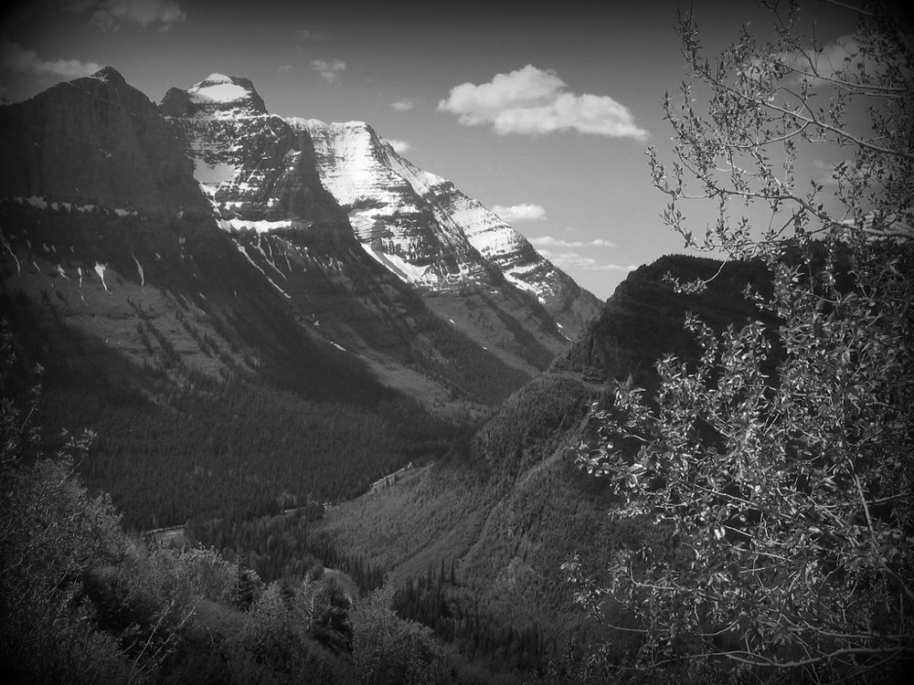 U-Valley, Going-to-the-Sun Road, Glacier National Park, Montana