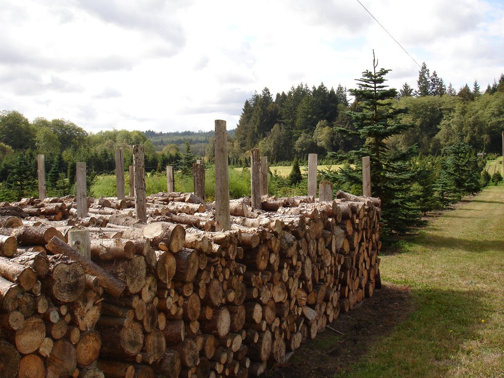 I Want My Firewood Stacked Like This!