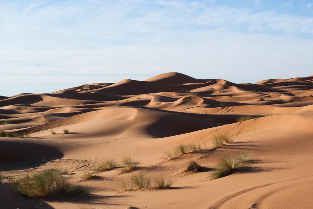 Free desert sand dunes image