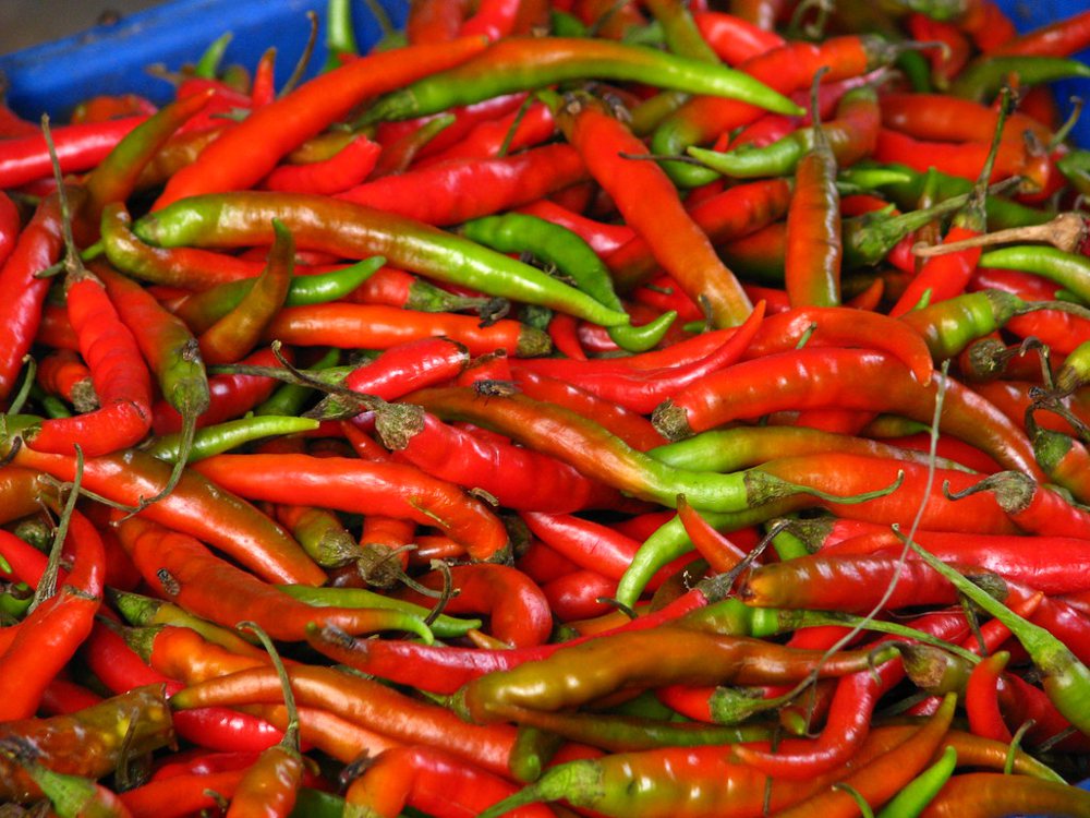 India - Koyambedu Market - Chili Peppers 01
