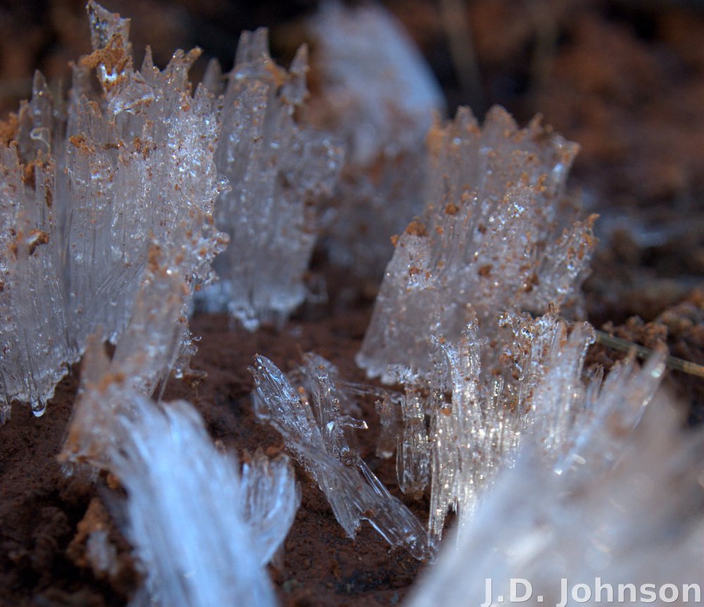 Ice Sculpture