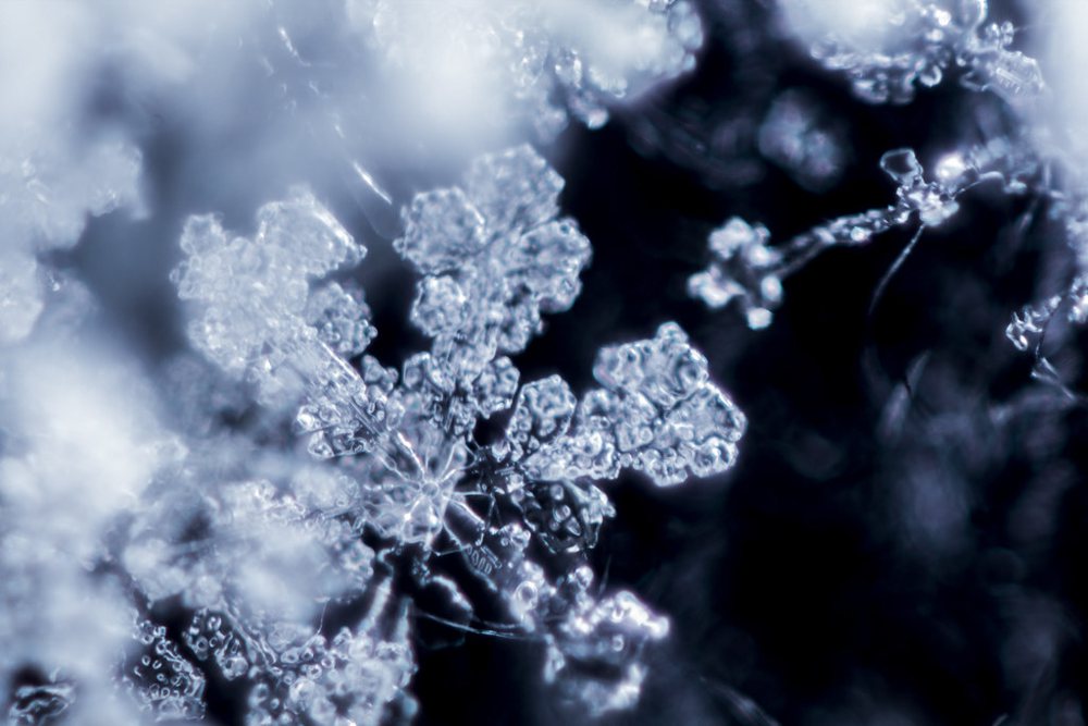 Snowflake macro