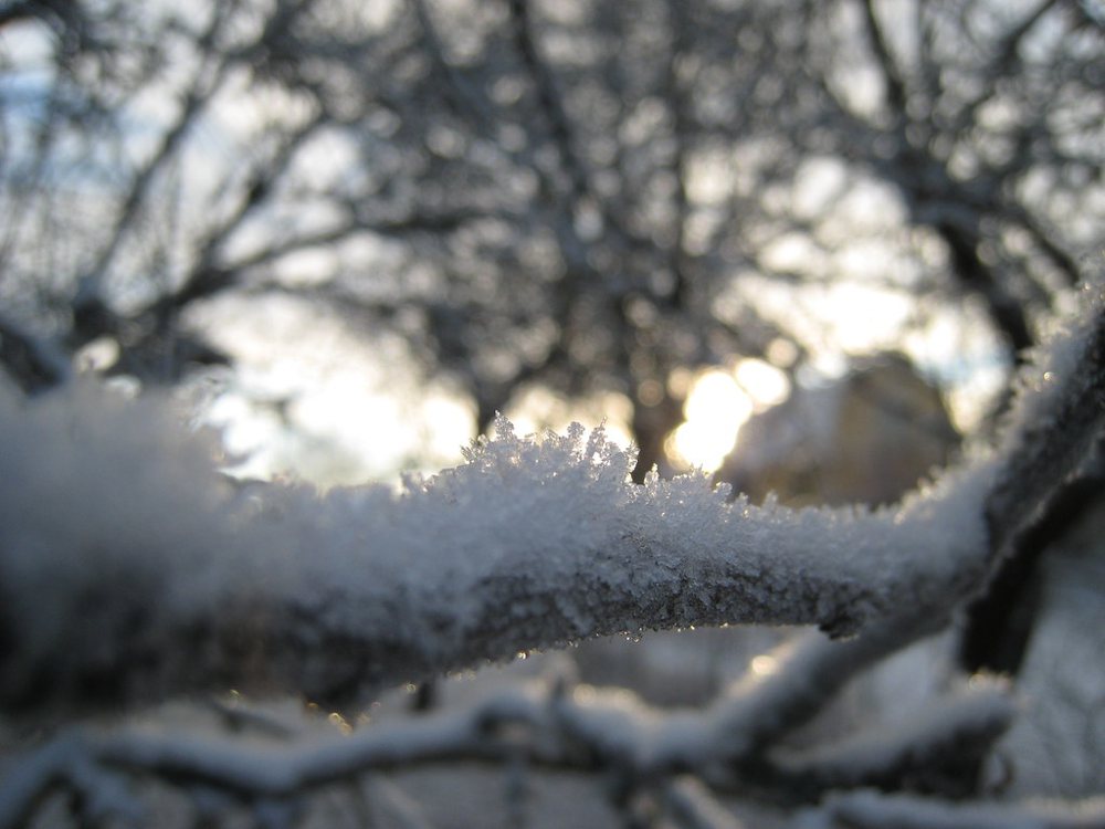 Snowflake macro
