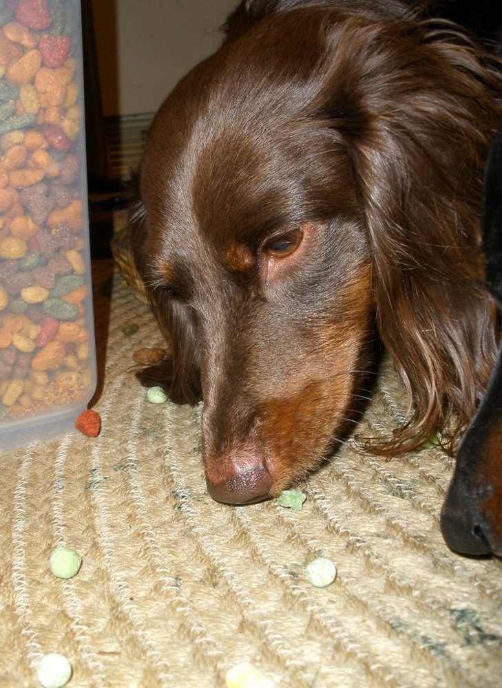 Going For The Frozen Peas