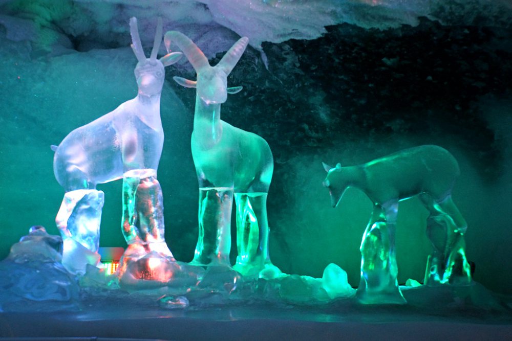 Switzerland-02368 - Ice Sculptures