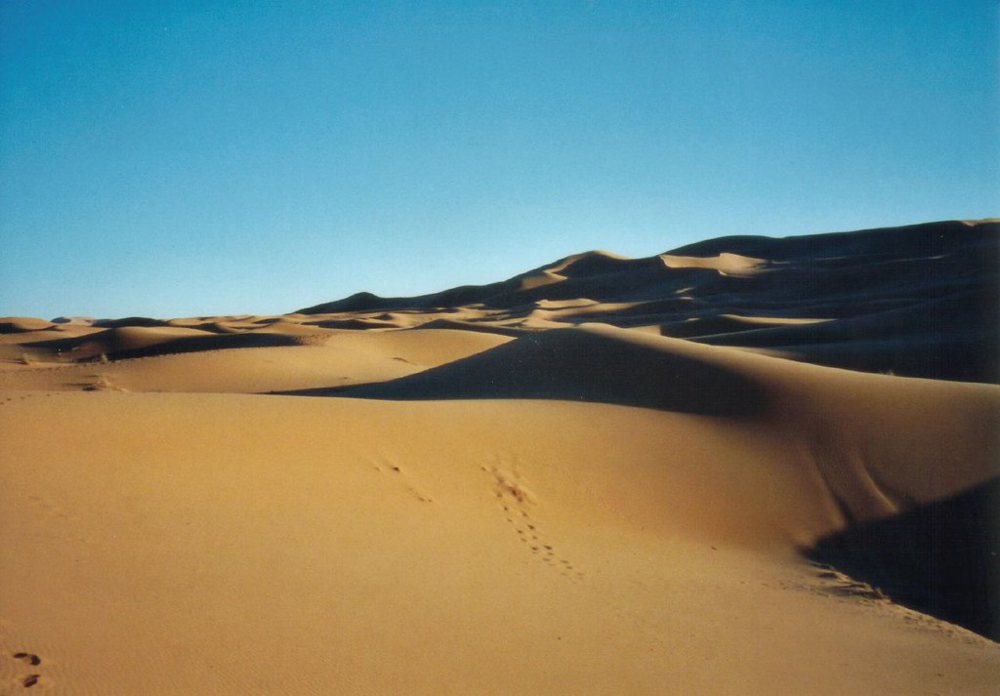 Sahara dune