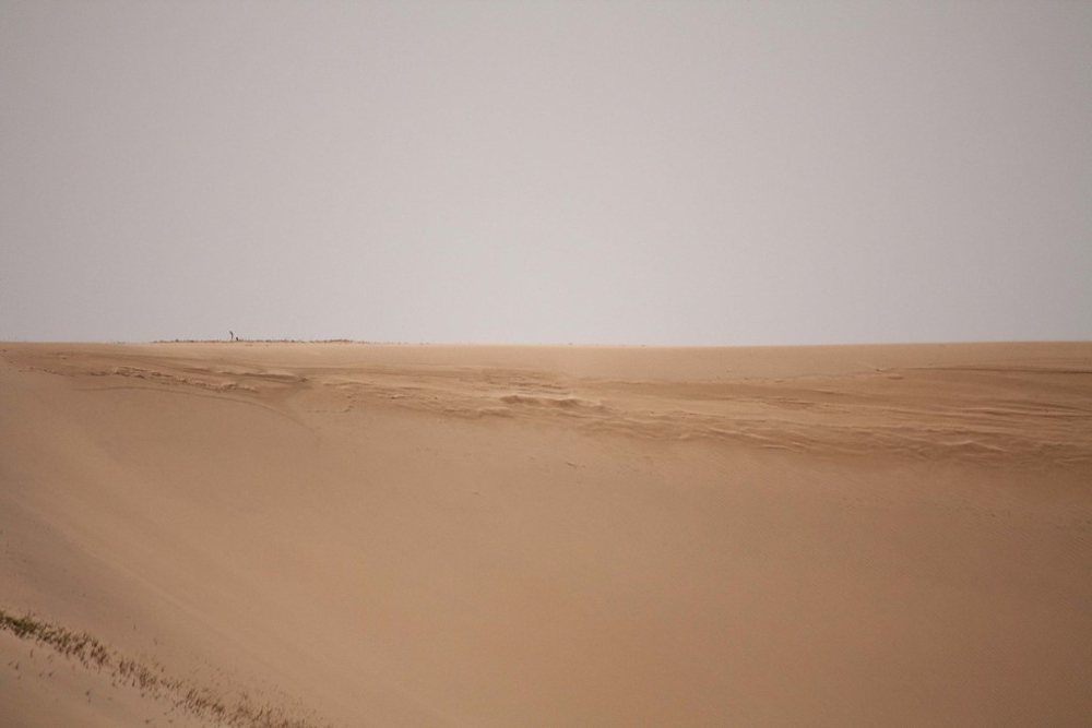 사막 모래 언덕 Desert Sand Dunes