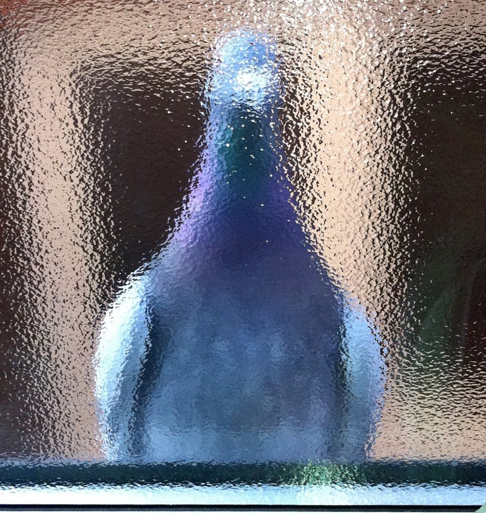 Pigeon through the frosted window