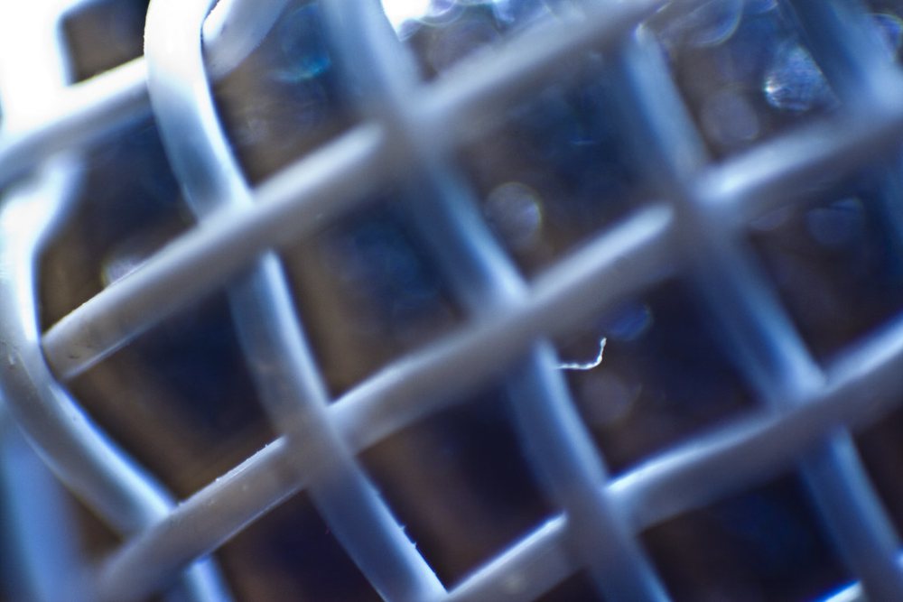 Blue Mic's Snowball Microphone