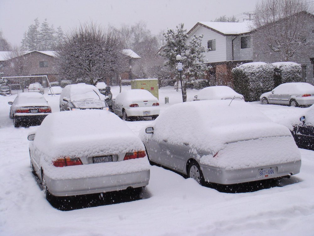Snow-Covered Cars
