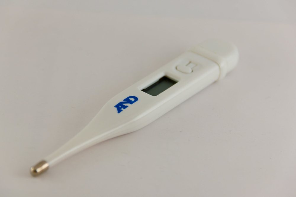 Electronic thermometer
