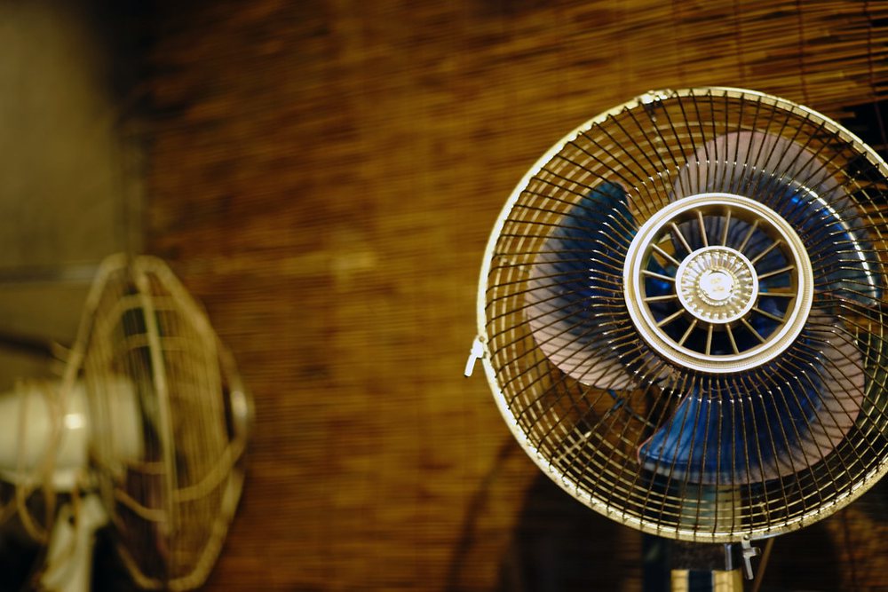 Electric fan
