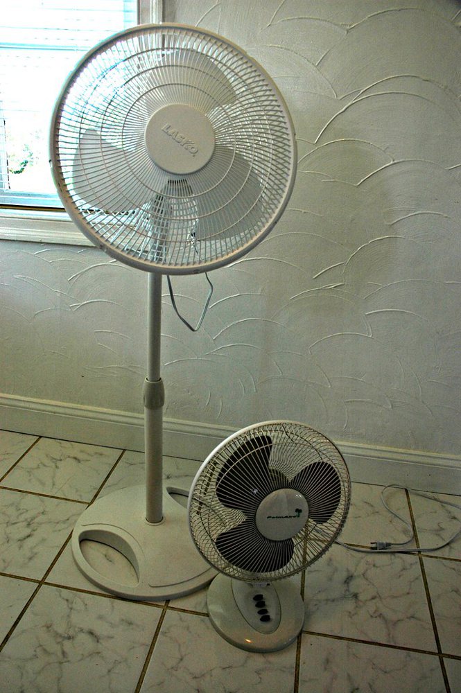 Lasko floor fan and Palm Air table fan, standard electric fans, San Mateo, Ca…