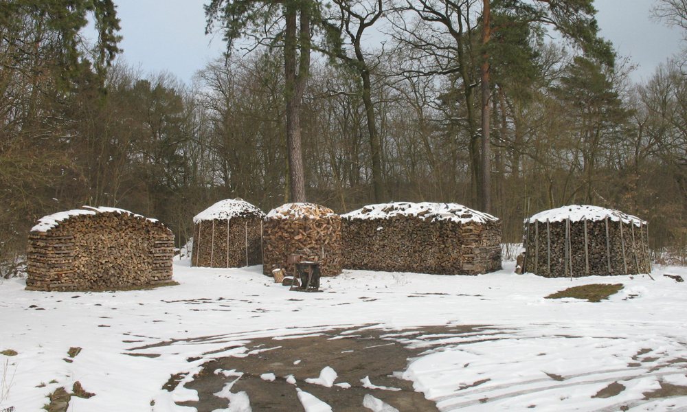 Neumuehle firewood stacks