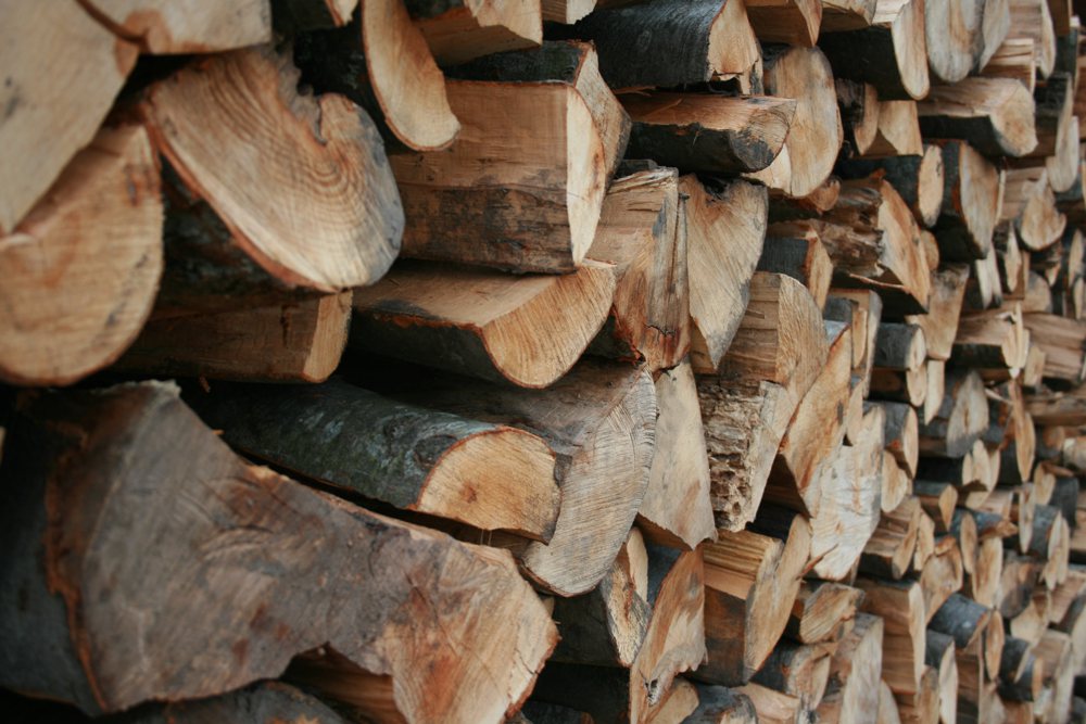 Firewood stacked up