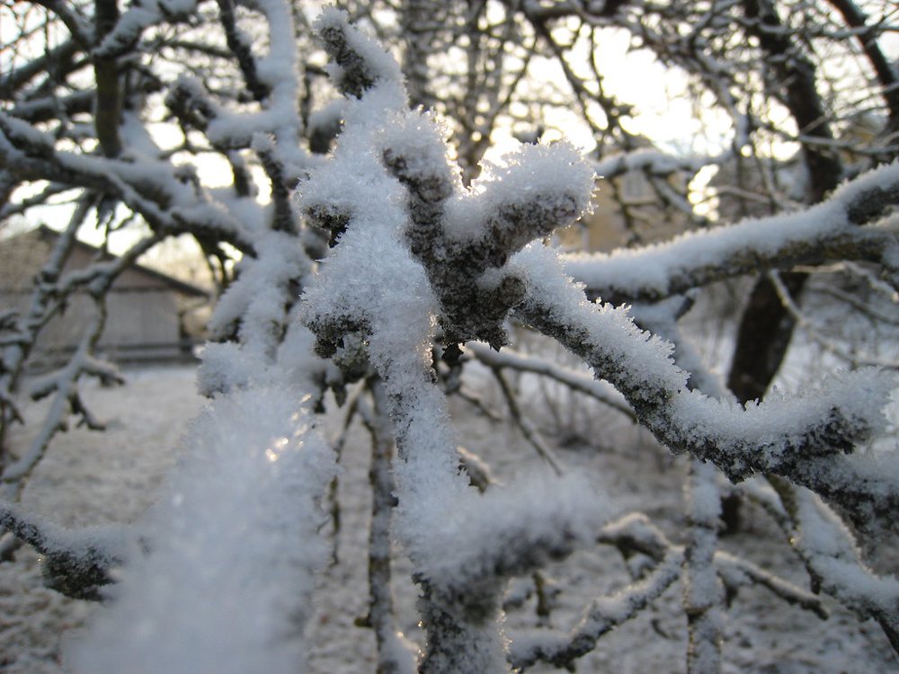 Snowflake macro