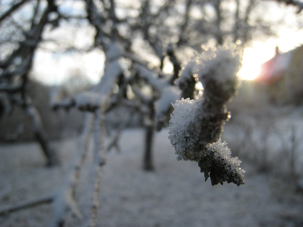 Snowflake macro