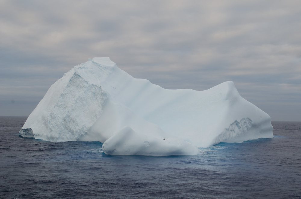 Iceberg