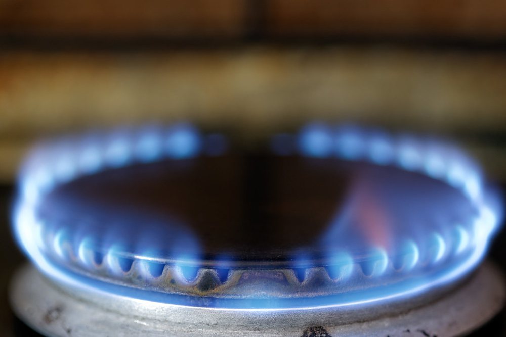 Gas stove flame