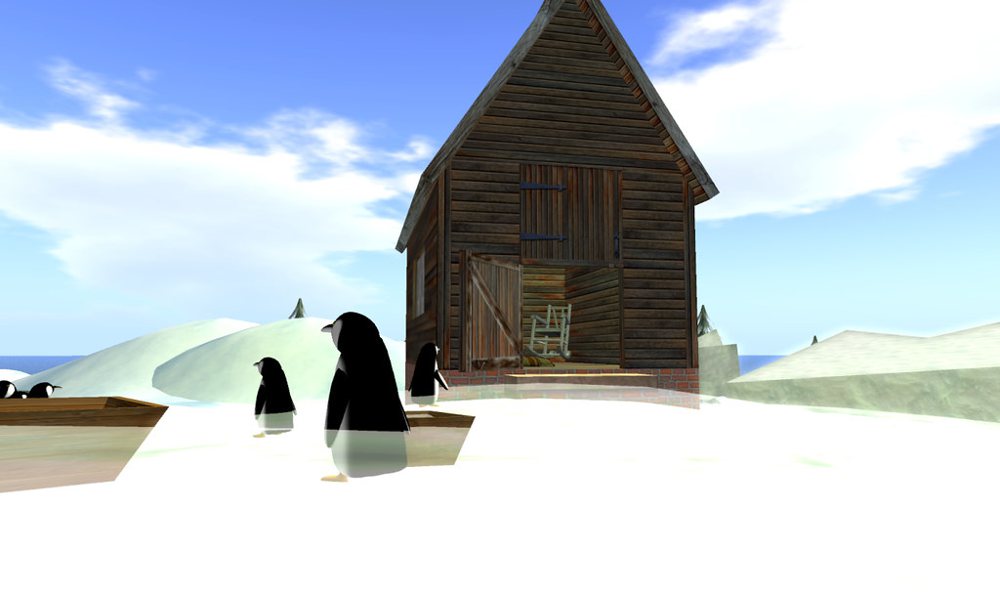 Penguin Rescue_020