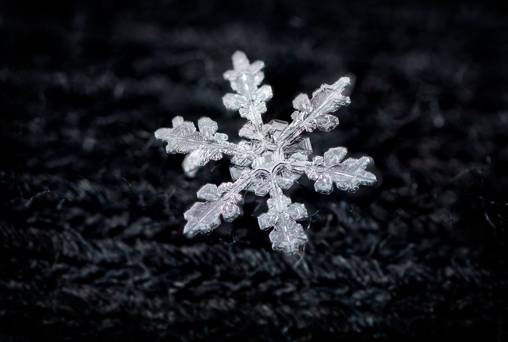 Snowflake macro on a black scarf