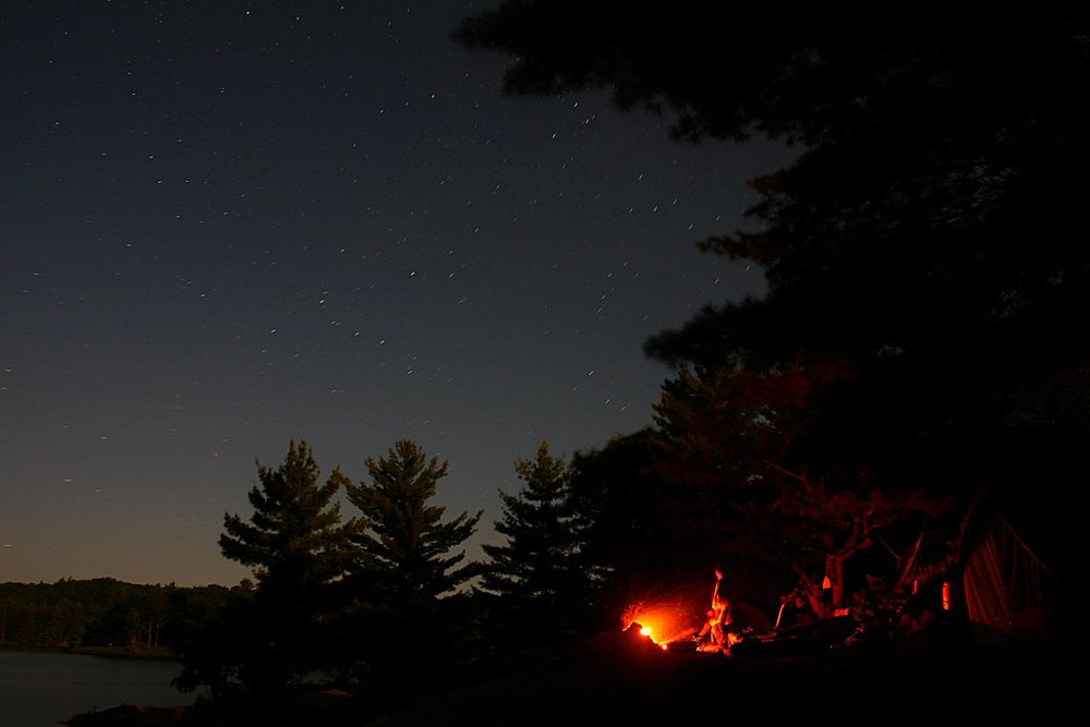 Campfire & Starlight