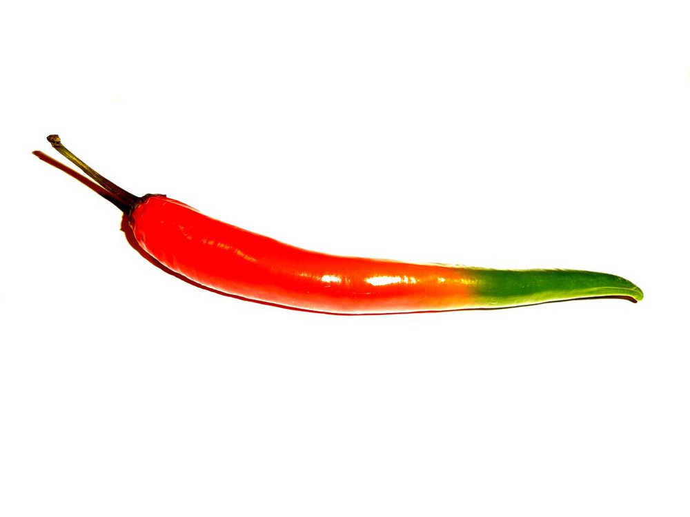 two colored red/green hot chili pepper