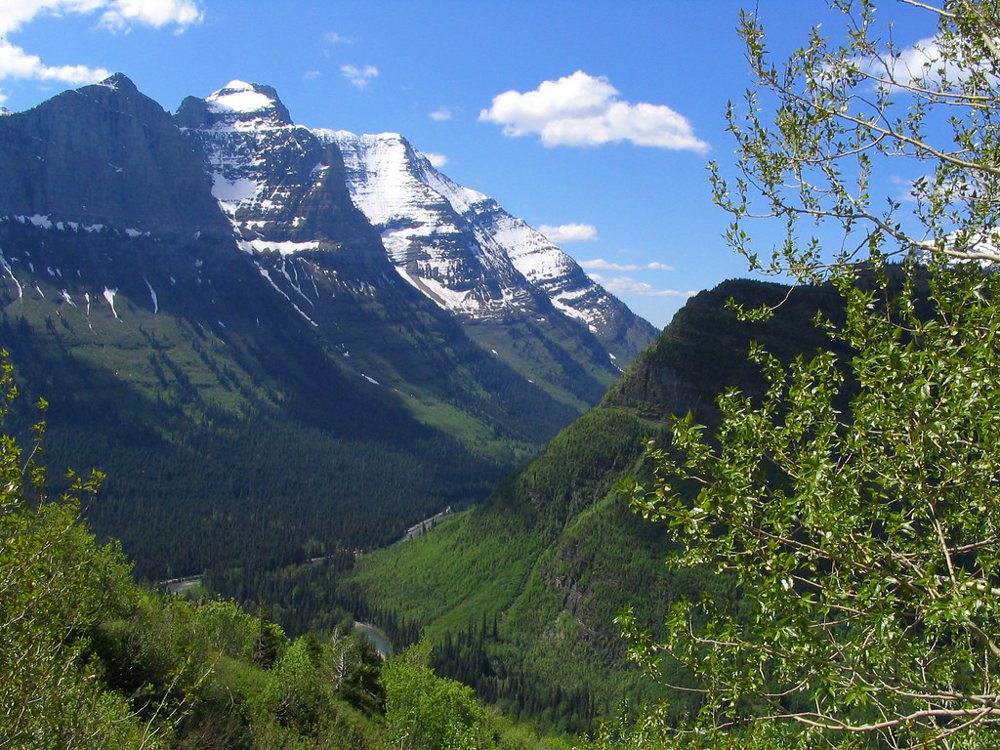 U-Valley, Going-to-the-Sun Road, Glacier National Park, Montana