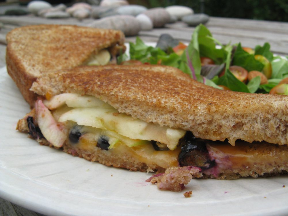 Grilled cheese sandwich with blueberries and apple