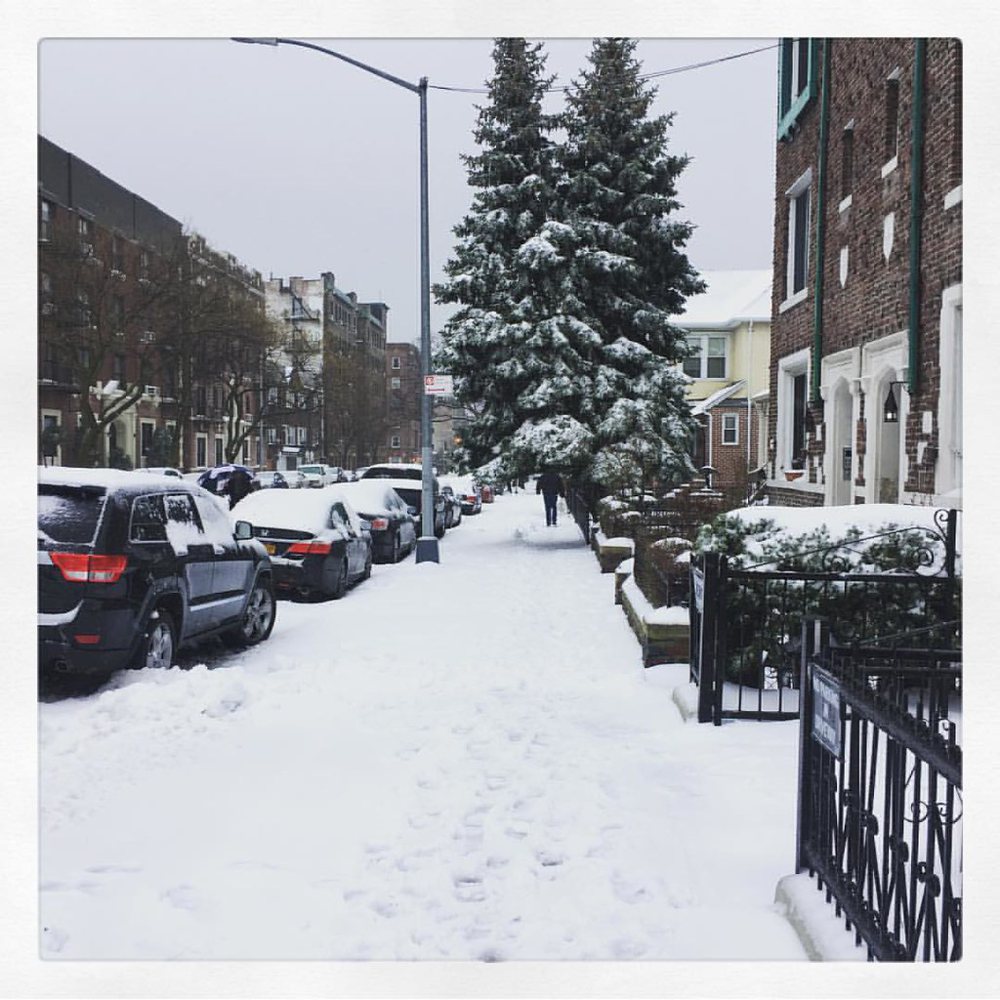 Bay Ridge is full of great snowball snow right now. Dangerously great, actual…
