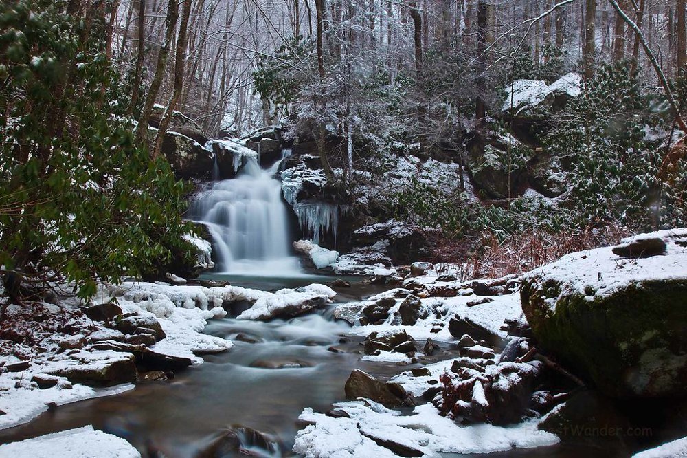 forest waterfall winter snow scene