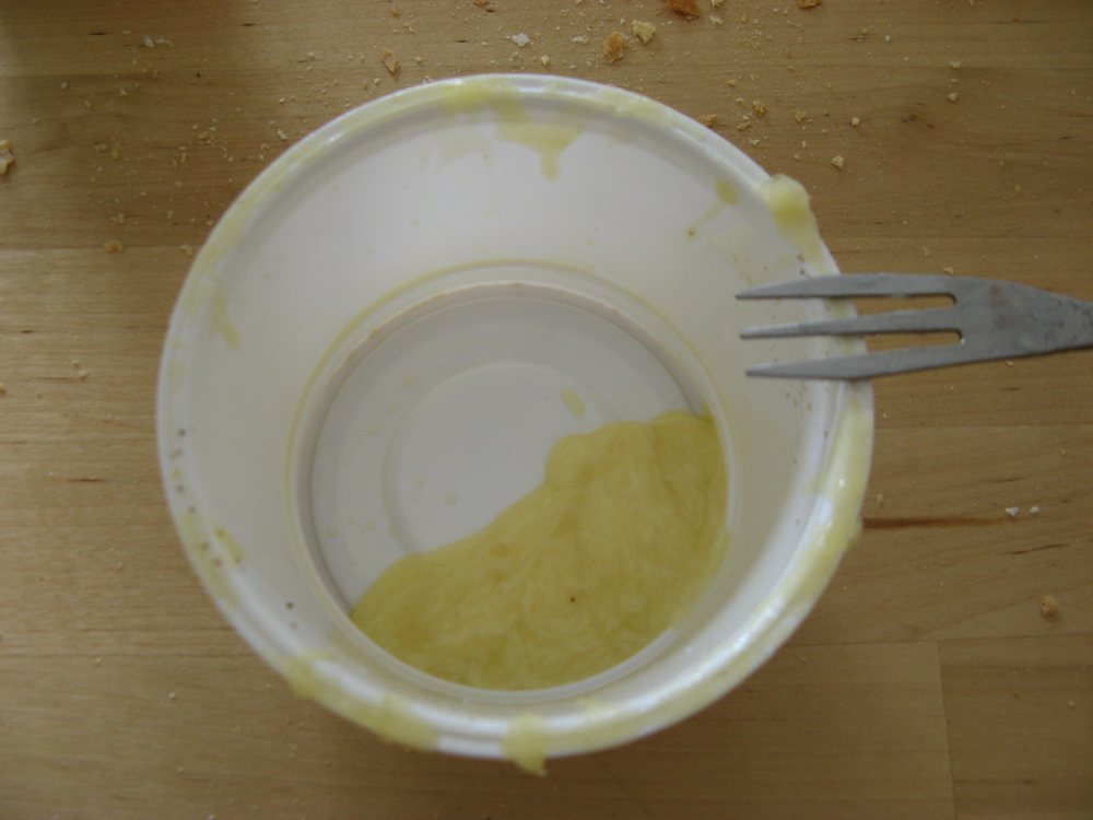 Microwave fondue (4)