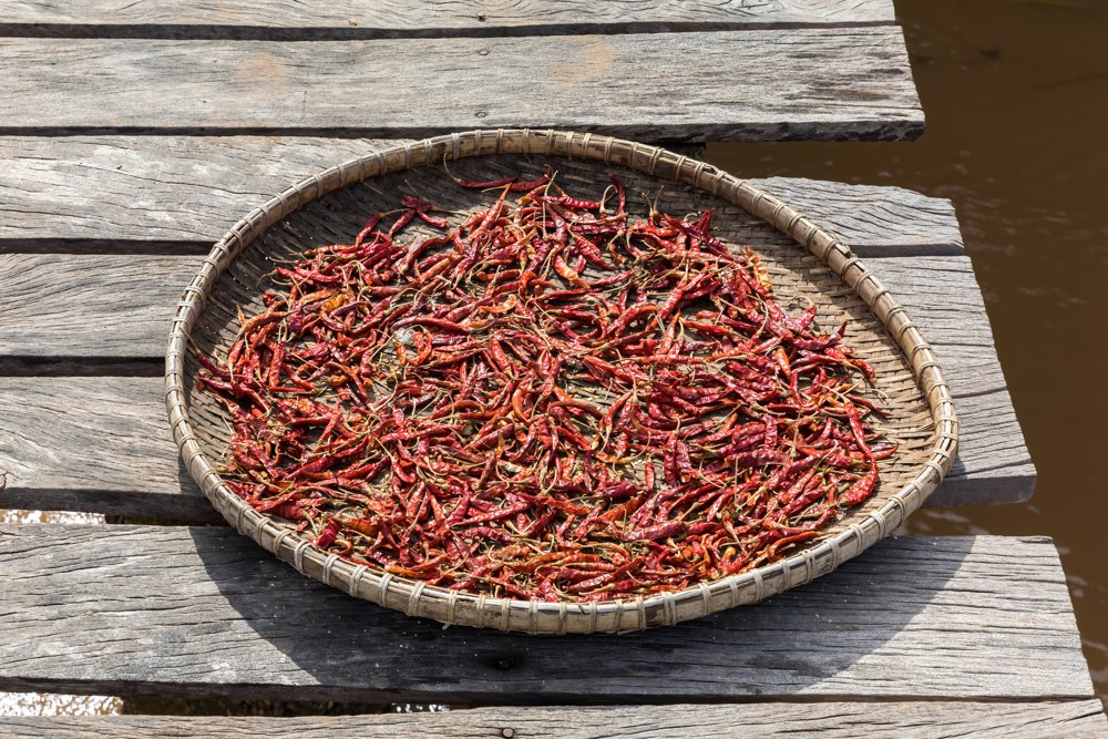 Red chili peppers drying on a footbridge