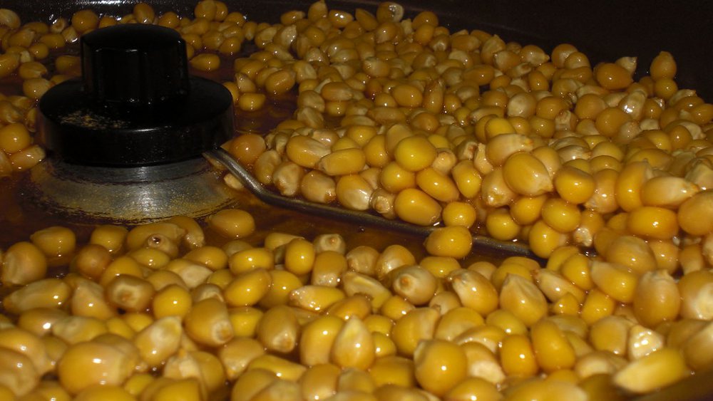 Popcorn Popper 02.25.09