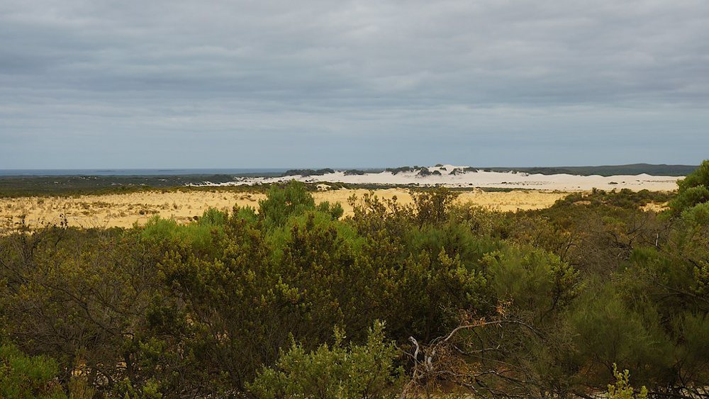 Pinnacles Desert, sand dune and Indian Ocean