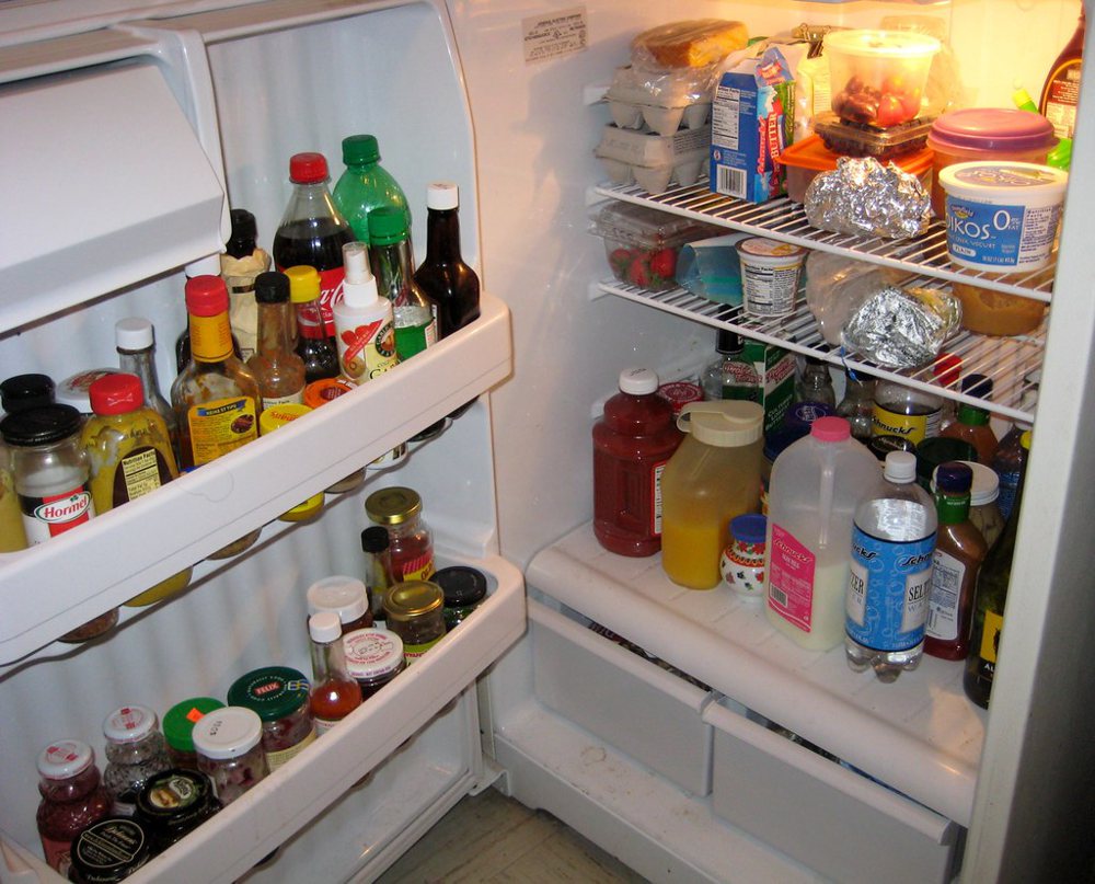 Refrigerator Interior