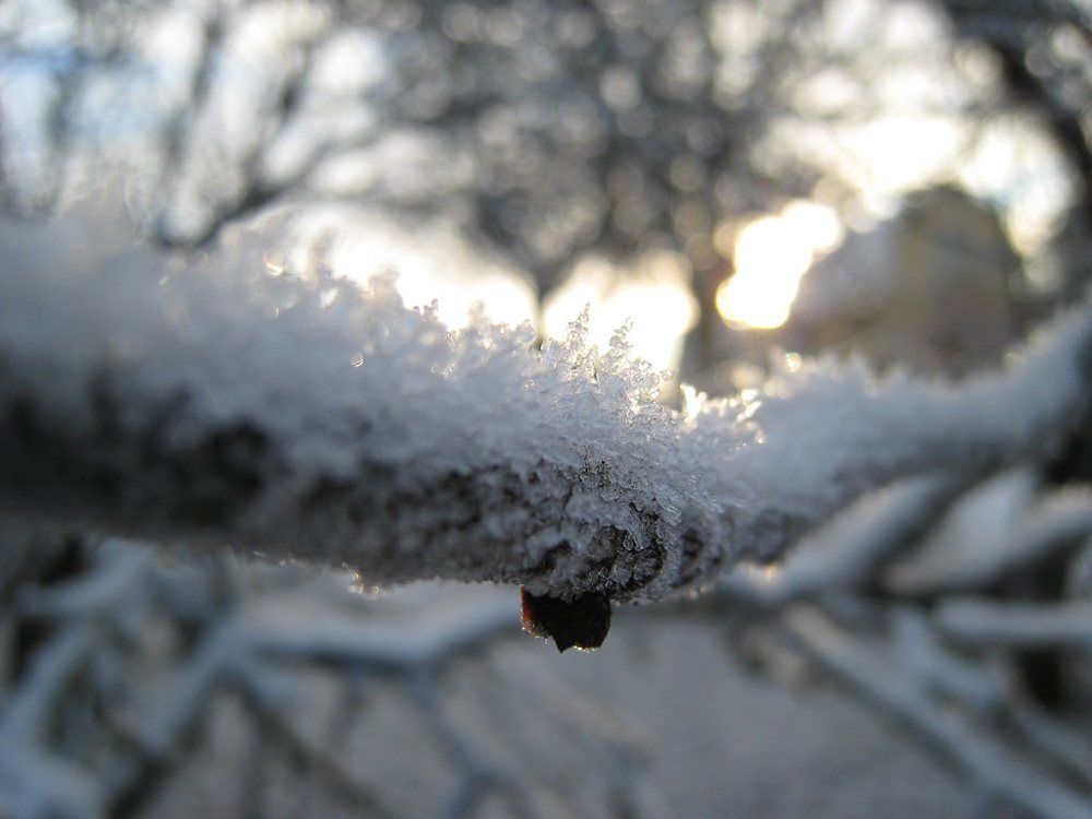 Snowflake macro