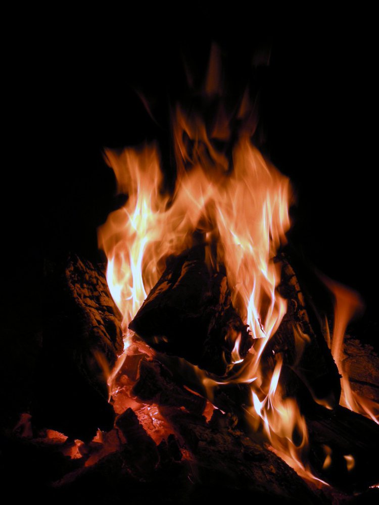 DSCN2822